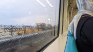 La pluja als vidres