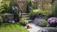 The Colorful Ground Cover That's The Perfect Grass Alternative For Your Small Yard