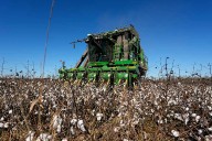Georgia farmers will get $531M in Hurricane Helene aid, but the deal's not done yet