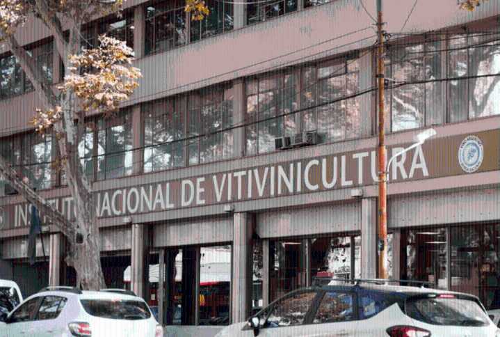 Tras el rechazo en el Congreso, dejaron sin efecto los despidos en el INV y otros organismos nacionales