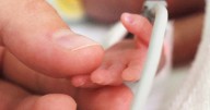 Buscan salvar a 200 niños prematuros del Hospital General de Tijuana