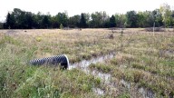 Scholten: Congress must act to protect Michigan's wetlands