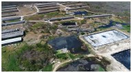 Comunidades mayas denuncian a granjas porcinas por contaminar agua con heces fecales en Yucatán