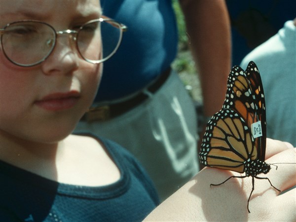 Monday Memories: Tagged and poised to take flight