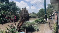 Inundaciones afectan 210 viviendas en Pénjamo y Abasolo