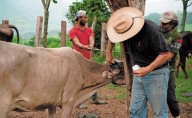 Piden ganaderos cerrar frontera sur y evitar gusano barrenador