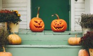 Where to buy pumpkins in central Alabama this fall