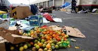 'Extra large' rats flourish and feast on an L.A. street turned dumping ground for rotting produce