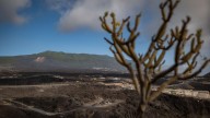 Los latidos en la zona cero del volcán Tajogaite resuenan a los cuatro años de la última erupción de La Palma