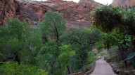 Beloved Zion National Park trail reopens nearly 2 years after rockfall