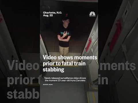 Video shows moments prior to fatal train stabbing