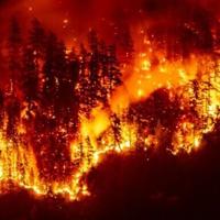 Wildfires producing 'witches' brew' of air pollution: UN
