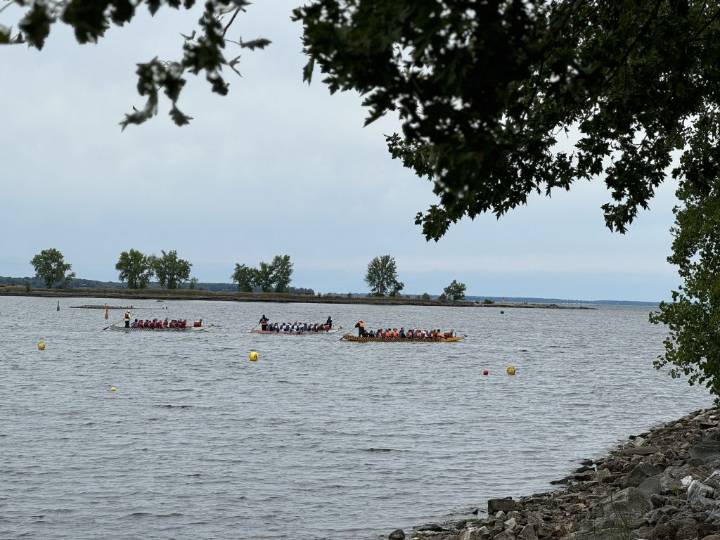 Dragon boat event in Montreal raises funds for cancer patient support 