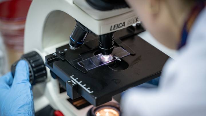 Un vecino de Orense accederá a una herencia millonaria tras demostrar su paternidad con una prueba de ADN recogida de una saliva en la calle