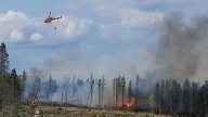UK suffers worst ever year for wildfires - with total set to eclipse 1,000