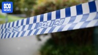 Crime scene declared after two people found dead at Kenmore Hills property