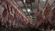 El Gobierno elimina las retenciones a la carne avícola y bovina
