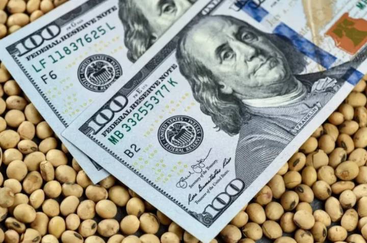 El campo liquidó US$32.426 millones y creció la exportación