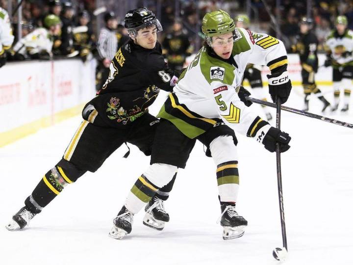Sarnia Sting to help Georgian Bay minor hockey on pre