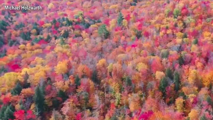 Day and night get equal billing Monday as fall equinox arrives. Here’s what to know