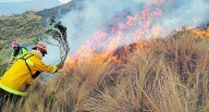 Anciano muere al intentar controlar el fuego durante incendio forestal
