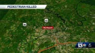 Northport resident struck and killed while walking on roadway