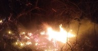 El fuego destruyó el bosque nativo del Pie de la Cuesta