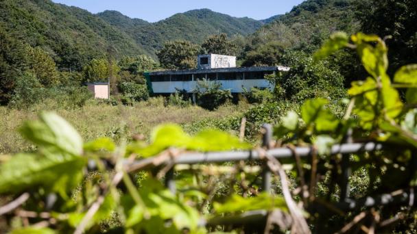 Surcoreanas presentan demanda contra el ejército de EEUU por prostitución forzada
