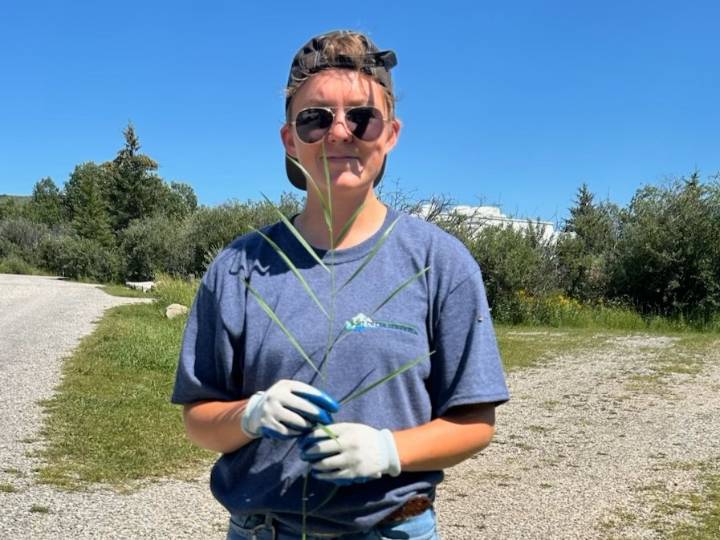 RCMP need help finding missing Sylvan Lake woman