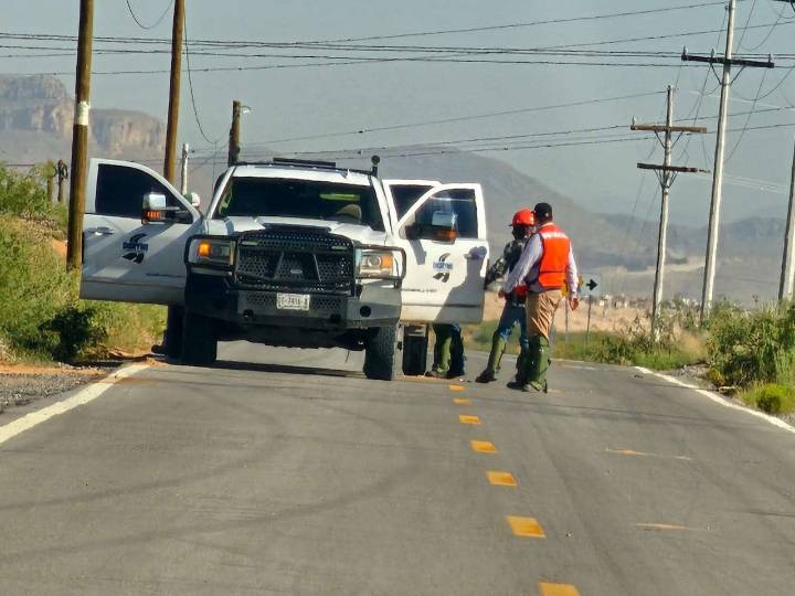 Ubican al cochino de la semana tirando llantas cerca del panteón San Rafael