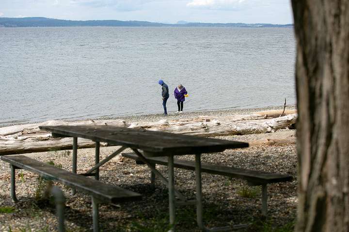 WSU Beach Watchers program to host public events