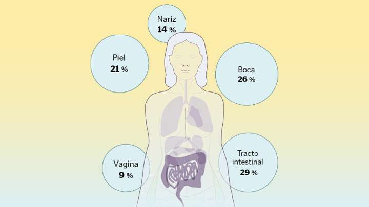 El mundo de bacterias que viven en nuestro cuerpo: «No estamos solos»