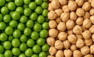 Arvejas y garbanzos en el SOB: algo más que una rotación para fijar nitrógeno al suelo