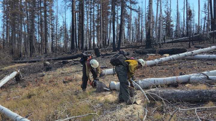 Firefighter dies while working Dragon Bravo Fire