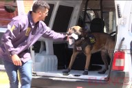 Egresaron 37 guías y perros detectores de drogas en Entre Ríos