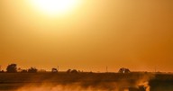 Harvest underway as crops mature quickly under warm skies during dry week