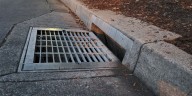 Rescue Mission Launched for ‘Dog’ in Drain