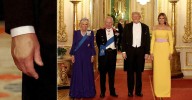 See Donald Trump's Desperate Attempt To Cover Bruised Hands With Royals