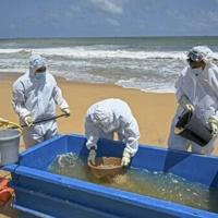 Singapore firm rejects $1bn Sri Lankan pollution damages