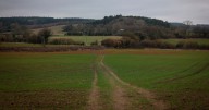 Nottinghamshire land where 3,000 homes planned could become country park