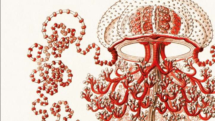 El clásico de ciencia ficción que nos enfrenta a nuestros miedos más profundos (y nunca pasará de moda)