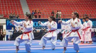 Delegación venezolana de karate obtuvo el tercer lugar a nivel continental en torneo panamericano