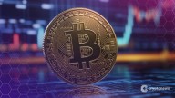 Las empresas compran 1,755 bitcoin diariamente, agregando $ 1.3 billones en 20 meses, ¿BTC por encima de $ 125k sucesivo?