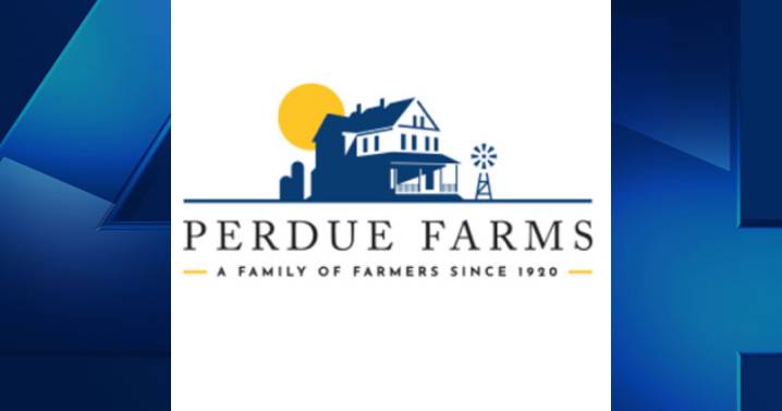 Nearly 300 people expected to be laid off from Perdue Farms