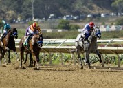 Bob Baffert’s horses again in spotlight as Del Mar wraps summer season