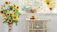 Is The Themed Decor Trend Officially On Its Way Out?