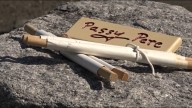 Passy Pete's 2025 Weather Prediction: More Summer in Belfast