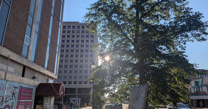 Colorado Springs weather: Warm Wednesday with sunny skies