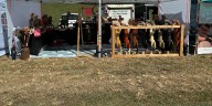 Vendors rebuild after storm damage as Sunflower Festival opens on schedule