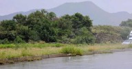 Saldo blanco en Sonora tras intensas lluvias de la tormenta tropical Lorena; autoridades siguen atendiendo las afectaciones